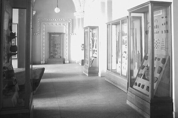 Экспозиция ОИПК в 12 зале Зимнего Дворца. 1953.